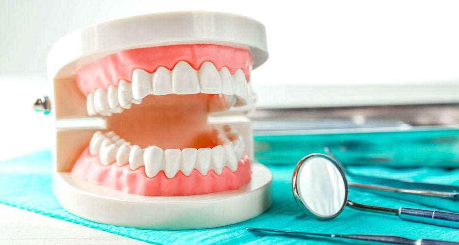 Prótesis Dentales